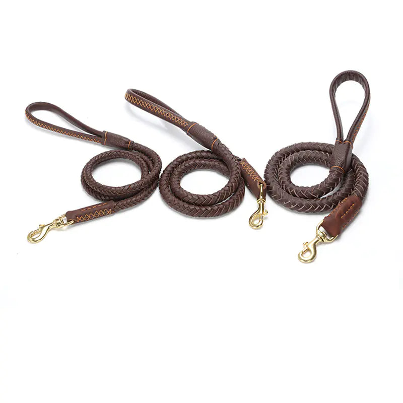Premium Leather Dog Leash
