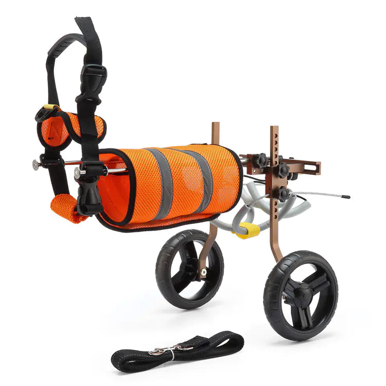 Pet Mobility Scooter