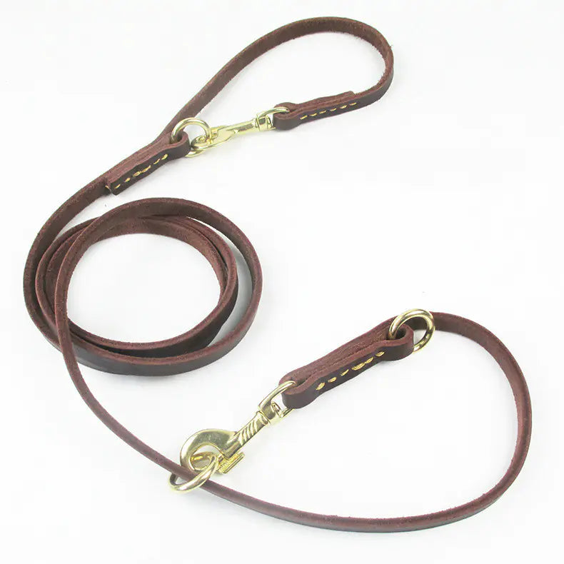 Multifunctional Dog Leash with Double Copper Hook