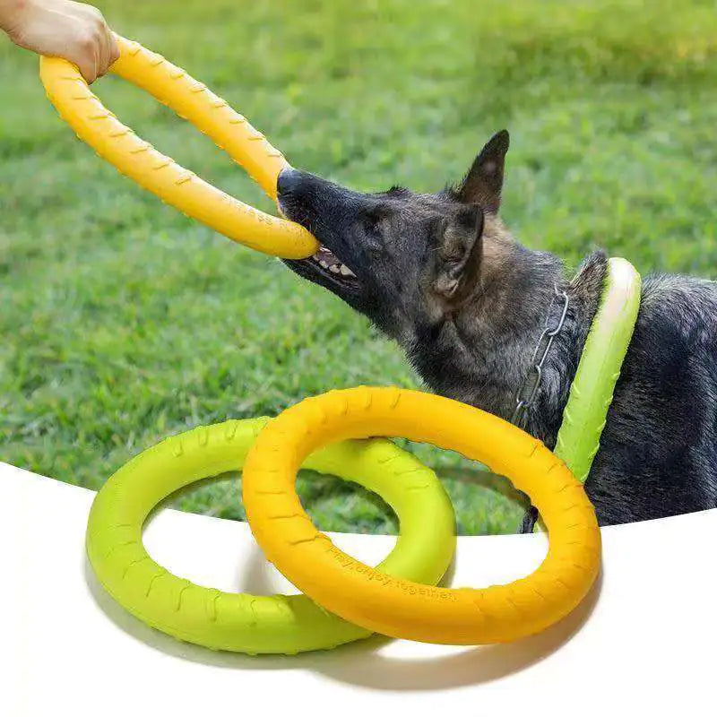 Floating Dog Training Ring