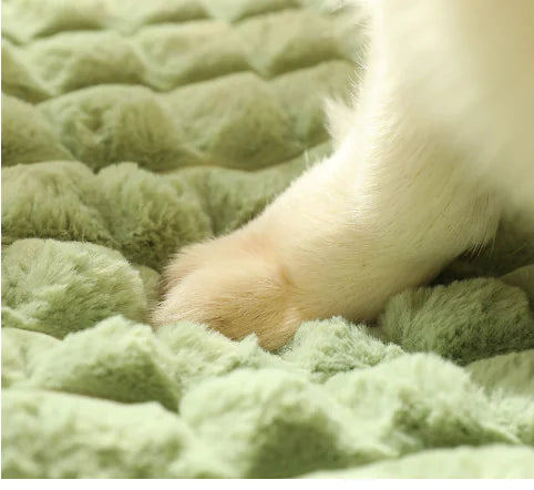 Comfortable Thick Dog Bed