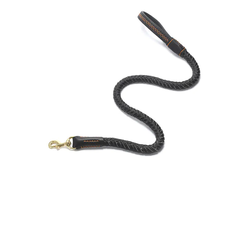 Premium Leather Dog Leash