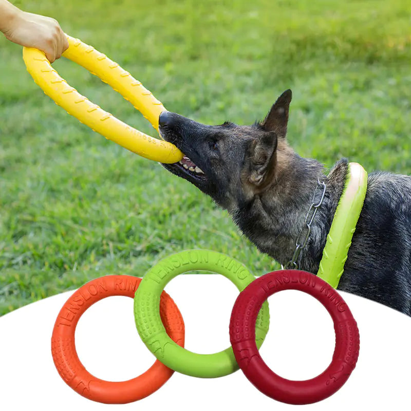 Floating Dog Training Ring