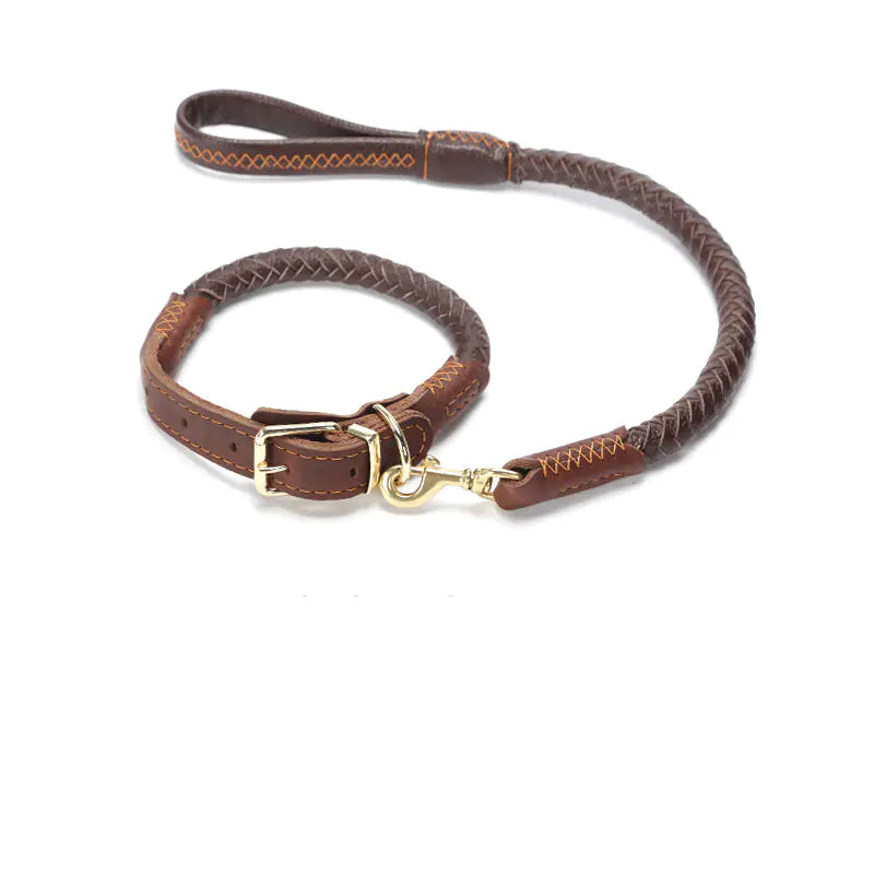 Premium Leather Dog Leash