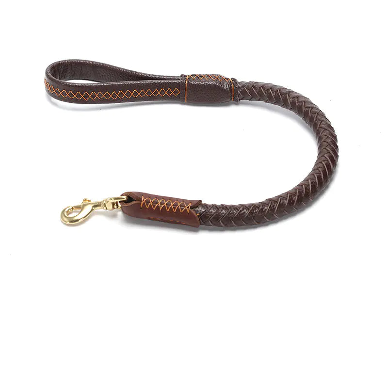 Premium Leather Dog Leash