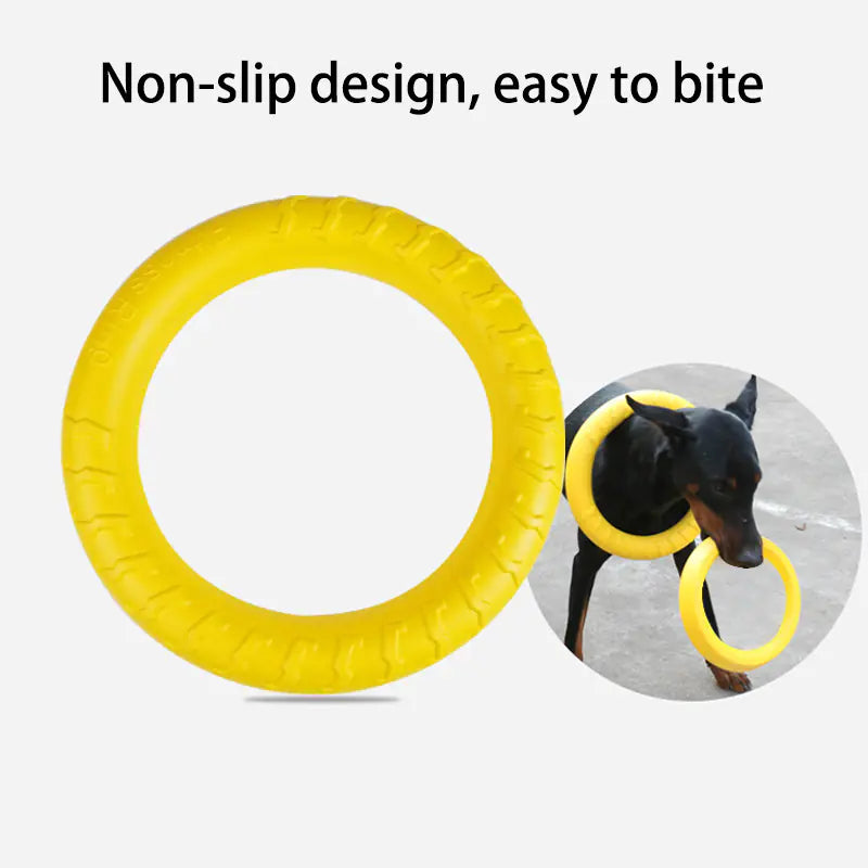 Floating Dog Training Ring