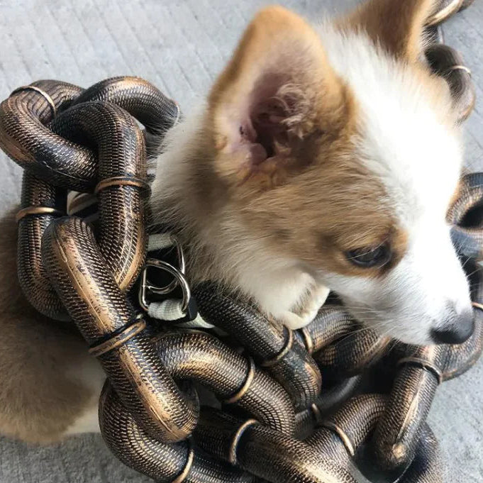 Dog Leash Iron Chain