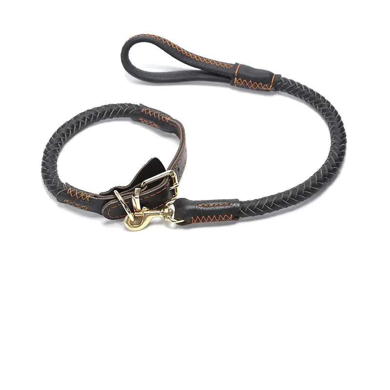 Premium Leather Dog Leash