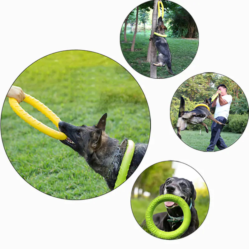 Floating Dog Training Ring