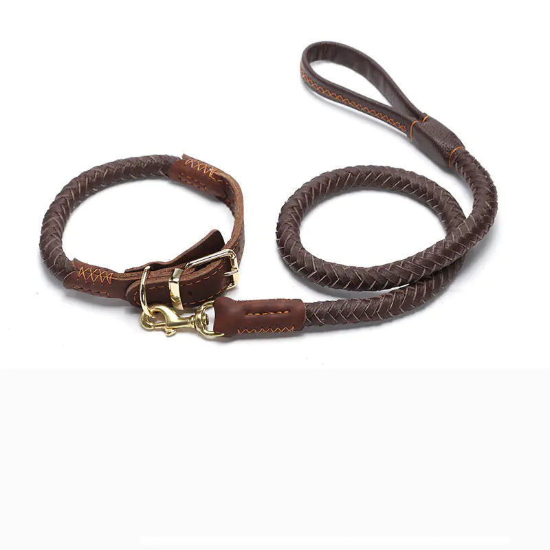 Premium Leather Dog Leash