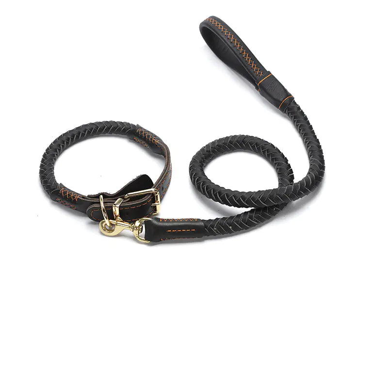 Premium Leather Dog Leash
