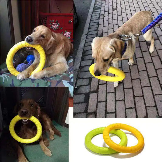 Floating Dog Training Ring