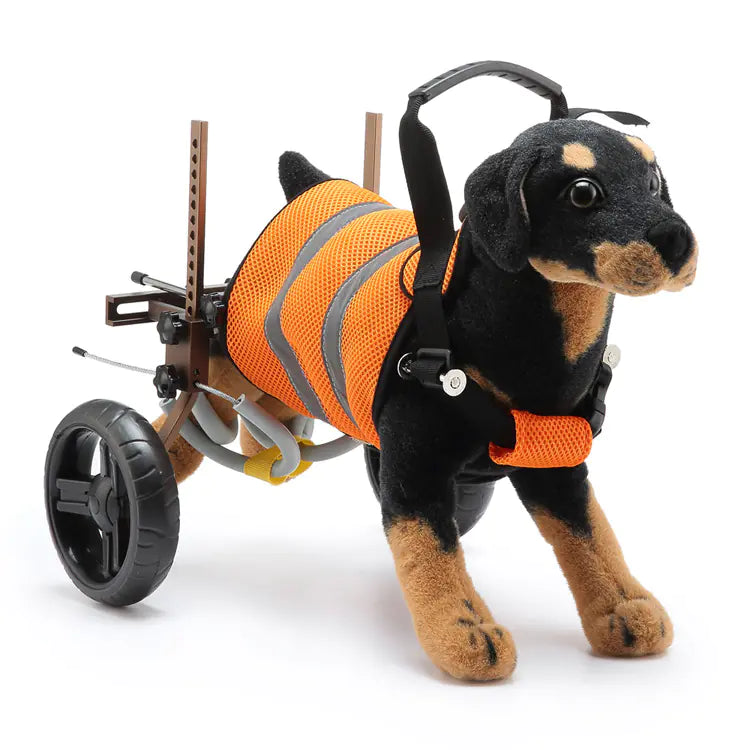 Pet Mobility Scooter