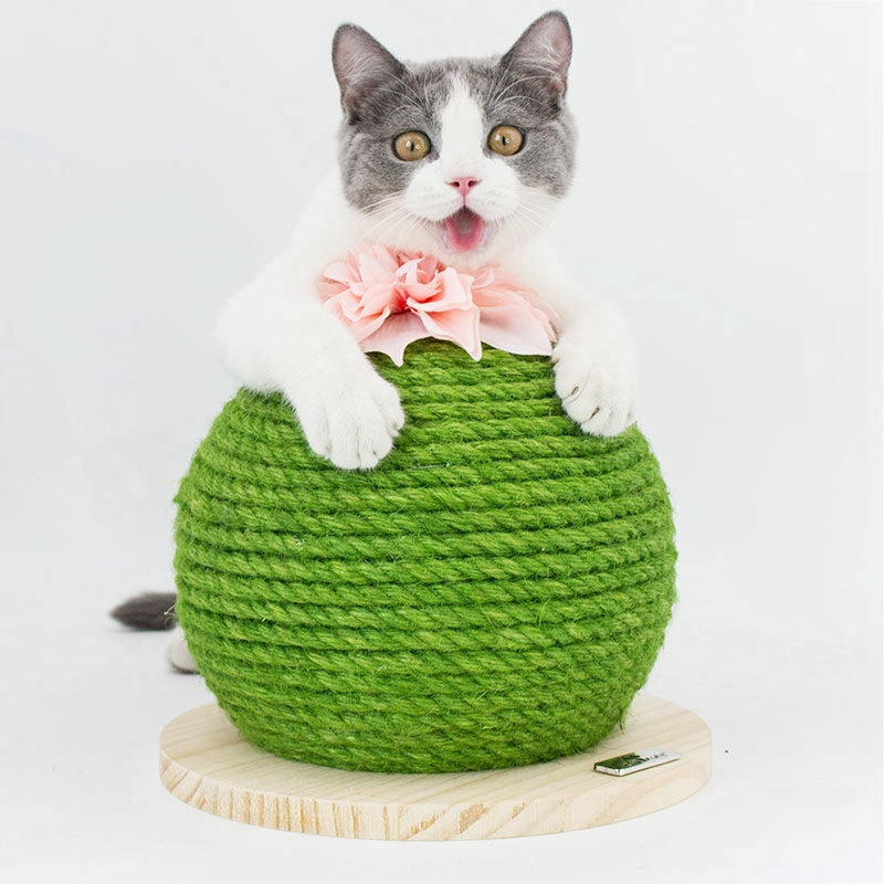 Cactus Cat Tower with Scratching Post and Multi-Functions
