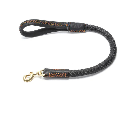 Premium Leather Dog Leash